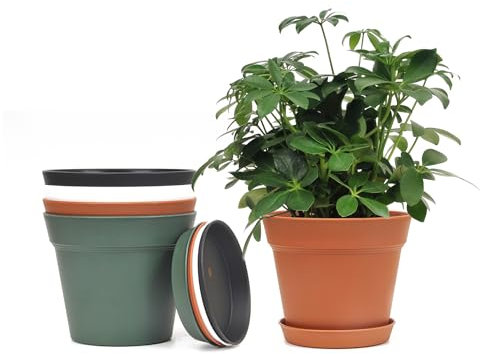 MoFarbe 6inch Small Plastic Planters Plant Pots - Indoor Plant Pot Set of 4 Flower Pot with Drainage Hole and Saucer, Decorative Nursery Pot Bulk for Flower Aloe Herbs (colorful)