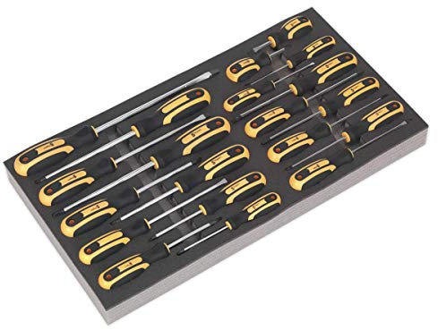 Siegen S01127 20pc Screwdriver Set with Tool Tray