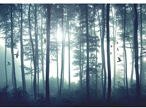 Runa Art Papier peint intissé Oiseaux Fog Forêt 352 x 250 cm Toison Mur XXL Tableaux Muraux Tapisserie Photo Décoration Murale Salon Chambre bleu 9326011a