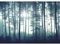 Runa Art Papier peint intissé Oiseaux Fog Forêt 352 x 250 cm Toison Mur XXL Tableaux Muraux Tapisserie Photo Décoration Murale Salon Chambre bleu 9326011a