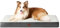 EHEYCIGA Orthopädisches Hundebett Grosse Hunde XL 104x68x9cm, Hundekissen Waschbar Flauschig, Hundematte Hundematratze für Kiste, Beige