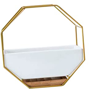 Alipis Octagonal Geometric Wall Hanging Planter Ceramic Flower Pot with Bamboo Tray and Gold Iron Frame Drainage Hole Multi-use Storage Rack for Succulents Includes 2 Seamless Nails