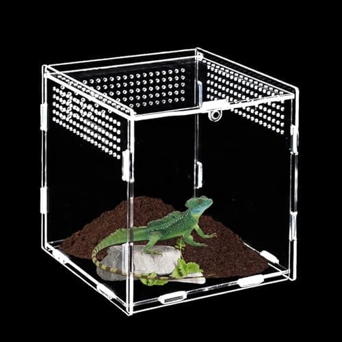 Boîte d'alimentation pour Reptiles, 15 cm*15 cm*15 cm Terrarium Acrylique, Mini Terrarium, Convient pour Araignées Sauteuses, Lézards, Escargots, Coléoptères