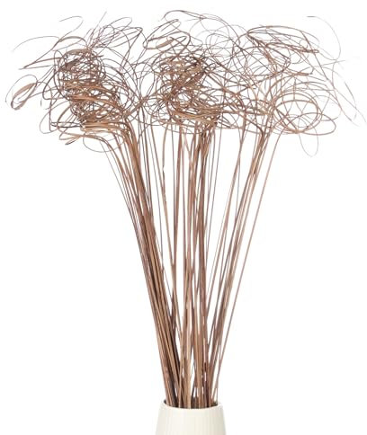 PATIKIL Ramo Arricciato, 60 Pz Rami di Salice Naturali Essiccati Rametti Alberi di Natale Ornamenti per Casa Cucina Matrimonio Fai da Te Artigianato Ghirlande Vasi Decor Regalo, Legno