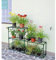 Verdemax 2529 - Scaffale per Serre, Colore: Verde