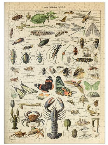 MyPuzzle Gliederfüßer für alle, Vintage Art Poster, Adolphe Millot - Premium 500 Teile Puzzle - MyPuzzle Sonderkollektion von Havana Puzzle Company