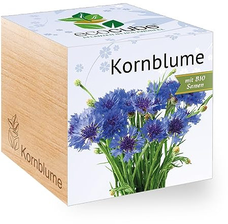 Ecocube Kornblume, Bio Samen, Nachhaltige Geschenkidee (100% Eco Friendly), Grow Your Own/Anzuchtset, Pflanzen Im Holzwürfel, Made in Austria
