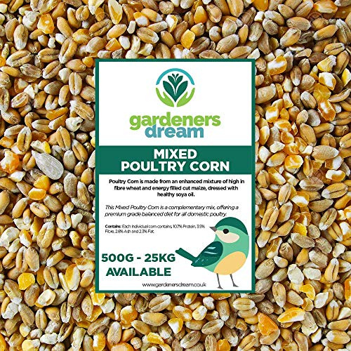 GardenersDream Mixed Poultry Corn | Premium Quality Natural Feed Mix | Rich in Vitamins and Calcium | Chicken Duck Geese Food | Helps Develop Strong Beaks, Tough Bones & Healthy Feathers (2.5kg)