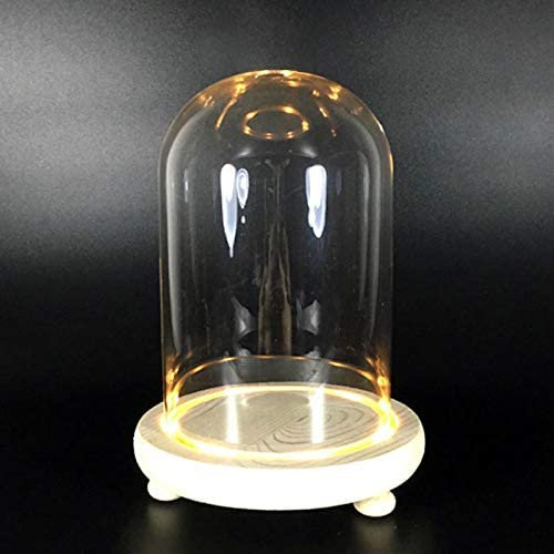 Cloche en verre dôme avec base en bois + lumières (avec lumière blanche chaude, 9 x 25 cm)