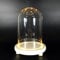 Cloche en verre dôme avec base en bois + lumières (avec lumière blanche chaude, 9 x 25 cm)