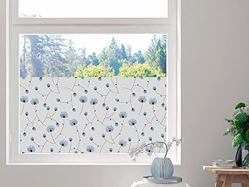 GRAZDesign Sichtschutzfolie Pusteblumen Netz, Fensterfolie für Wohnzimmer, Küche, Büro, Blickdicht und lichtdurchlässig / 60x57cm