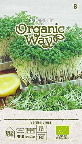 Organic Way | CRESSON DE JARDIN des Graines | Graines d'herbes | Graines de Plantes | Graines de Jardin | 1 Paquet