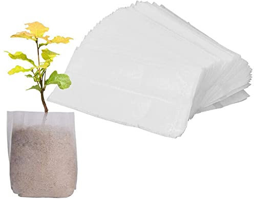 für 100 × biologisch abbaubarer Vlies-Beutel für Pflanzen, Pflanztopf, Ernährungstasche, 20 x 22 cm