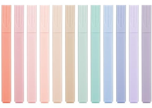 Wenrescry Evidenziatore Pastello 12 Colori - Evidenziatore Colorato per Blocchi Note, Bibbie, Agende e Appunti, Asciuga Rapidamente, l'Inchiostro non Penetra Facilmente