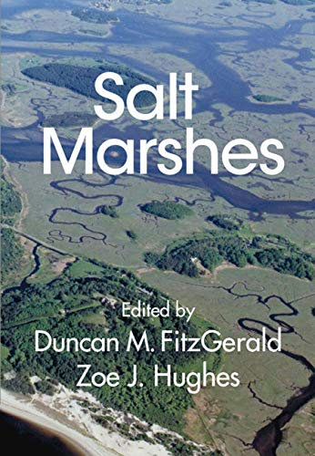 Salt Marshes: Function, Dynamics, and Stresses (English Edition)