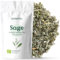 SALVIA INFUSION ECOLÓGICA 100G (50 Tazas) | Hojas de Salvia Cortadas para Infusión | Salvia officinalis REPLANTEA