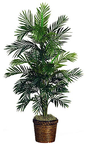 Nearly Natural 5263-0308 56in. Areca Palm Silk Tree with Basket, Green,30 x 32 x 56