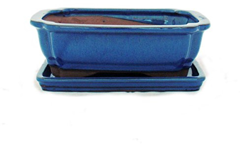 exotenherz - Bonsai-Schale mit Unterteller Gr. 3 - Blau - eckig - Modell G12 - L 18cm - B 14cm - H 5,5cm