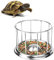 Mangeoire pour Tortue, Gamelle Tortue, En acier inoxydable Gamelle Reptile,Bol Durable pour Nourriture et Eau pour Reptile Rock pour Tortue d'eauSmall (3.9 * 3.2 * 1.38in)