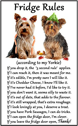 Yorkshire Terrier (Yorkie) Gift - Fridge Rules - Large Fun flexible Fridge Magnet- size 16cms x 10 cms (approx. 6 x4)