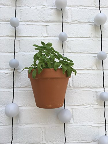 Nutley's Lot de 2 Pots de Fleurs en Terre Cuite avec Support Mural