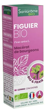 Santarome Bio - Figuier Bio - Macérat de bourgeons - Bourgeon de Figuier Bio - Bourgeon Frais - Gémmothérapie - Complément alimentaire anti stress - Flacon de 30 ml - France