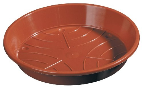 TOPFUNTERSETZER 10CM TERRA 8080106