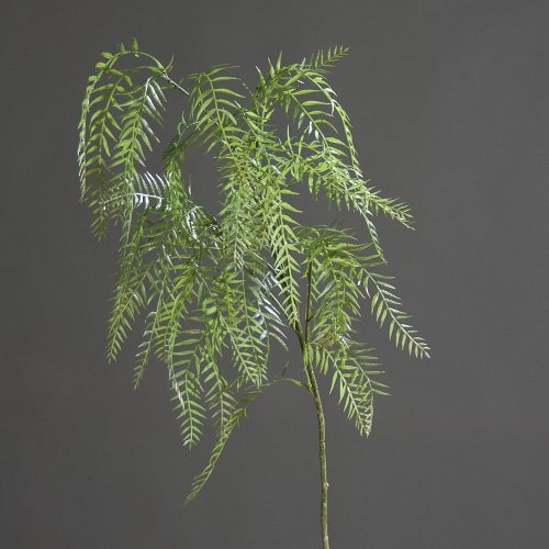 Farnzweig Farn Königsfarn Zweig Farnwedel Wedel, grün, 80 cm