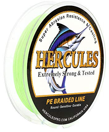 HERCULES - Filo da pesca intrecciato a 4 fili, 100-2000m, 6-100lb, super morbido, polietilene, Lenze intrecciate per pesca con lenza, pesca da riva, pesca in mare, pesca in barca