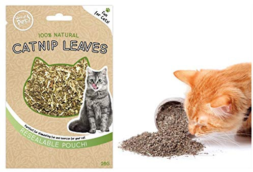 World of pets Hojas de Hierba gatera