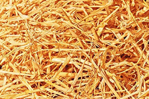 Double F Farms Premium 100% Natural Straw for Animal Bedding, Garden Mulch, Compost & Fertilizer, and Grass Cover (4 lbs)