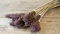 NaDeco Allium Cherry, getrocknet, im Bund mit 10 STK., Größe ca. 70-75 cm | Trockenblumen | Boho-Style | Deko-Gras | Getrocknete Gräser im Bund | Trockenblumenstrauß | Naturdeko