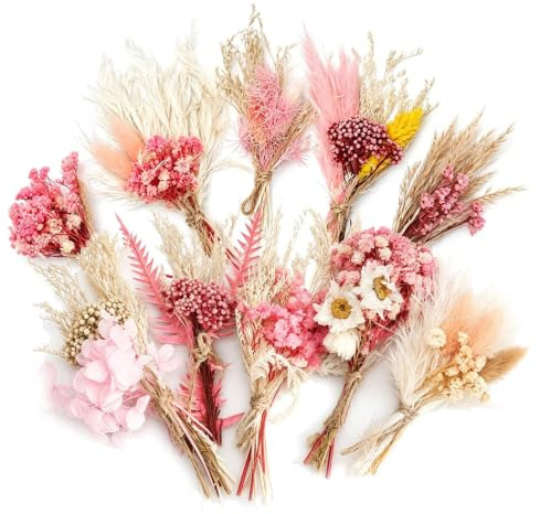 10 Mini Fiori Secchi Rosa Bouquet Fiori Secchi Fiori Secchi Naturali per DIY Cornici Confezioni Regalo Decorazione Tavola Matrimonio Stile Boho