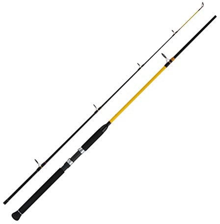 WFT N.C. Big Fish 150-700g 3,00m