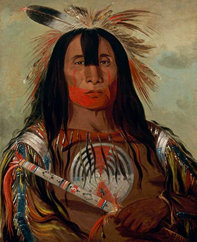 Stu-mick-o-sucks,Buffalo Bull-s Back Fat,George Catlin,50x40cm