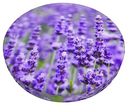 Lila Lavendel Stuhlkissen, runde Sitzkissen, Barstuhl-Kissenbezug für Zuhause, Esszimmer, Bar, Hochzeit, Party, Dekoration, Schwarz