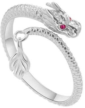 pulunto Dragon's Tail Qiankun Glücksring Drachenschwanz Wickelring Verstellbare Drachenringe Gothic Drache Statement Ring für Verlobung Jahrestag Party Schmuck Geschenke, Metall, Kein Edelstein