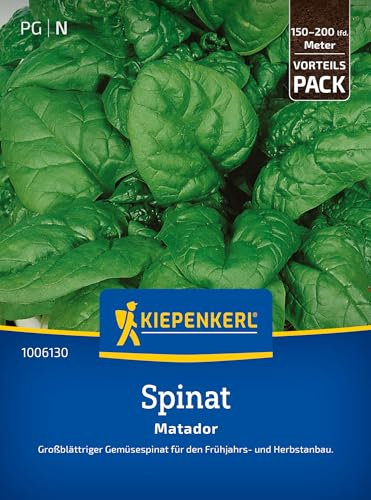 Kiepenkerl Spinatsamen Matador 1006130 - Robuste Gemüsesamen für Frühjahrs- & Herbstanbau, schnelles Wachstum, großblättrige Spinatsaat für Gärten