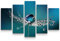 Paul Sinus Art Leinwandbilder | Bilder Leinwand 160x100cm Wassertropfen auf einer Pusteblume