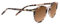 Serengeti Unisex Leonora Sonnenbrille, Rosa (Pink Tortoise Shiny), M