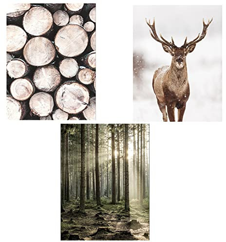 TROYSINC 3er Premium Poster Set, Moderne Natur Winter Landschaft Wandbilder Leinwandbilder, Ohne Rahmen Kunst Wald Bilder Wanddecor für Wohnzimmer (Stil A,30 x 40 cm)