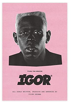 RIKCAT The Creator Igor Hip Hop Rap-Album-Einband, Leinwand, Poster, Schlafzimmer, Dekoration, Sport, Landschaft, Büro, Raumdekoration, Geschenk, ungerahmt, 30 x 45 cm