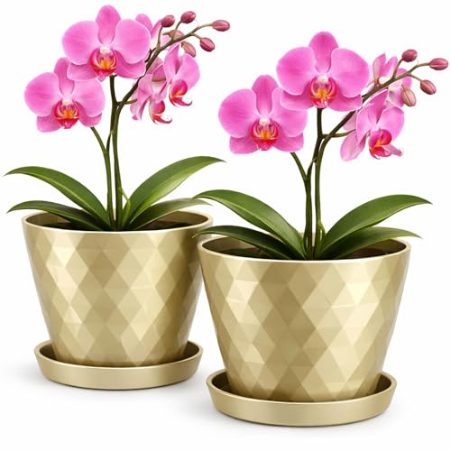 PECZEKO Maceta de plástico brillante, maceta decorativa para plantas grandes y pequeñas, juego de 2 macetas con platillo, maceta para hierbas, color dorado, diámetro de 20 cm