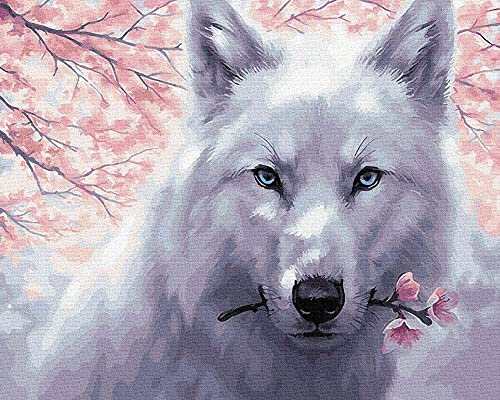 Artnapi Malen nach Zahlen Erwachsene mit Rahmen | DIY Handgemalt | Tiere - Weißer Wolf | Kit für Anfänger und Erwachsene | Set inklusive Acrylfarben & Pinsel | 40x50cm Leinwand | Ideal als Geschenk