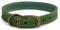 Ancol Timberwolf Premium Leather Dog Collar - Comfortable Durable Pet Training Accessory - Green Bridle Leather - Soft Supple Waterproof Treated - 45-54cm Size 6