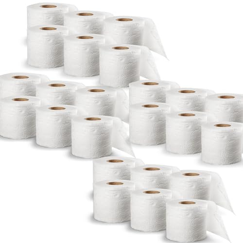 DSTOCK60 – 2 lots de 12 rouleaux de papier toilette blanc gaufré, confort, 2 plis très doux et résistant papier toilette traditionnel