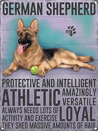 Grindstore Blechschild German Shepherd 30 x 40 cm