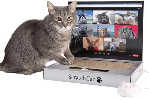 ScratchTab Katzen-Laptop zum Kratzen aus Pappe | Katzenspielzeug | mit Spielmaus | Interaktives Kratzspielzeug | Kratzbrett | Katzenbaum-Alternative | Katzen | Katze | hochwertig & langlebig