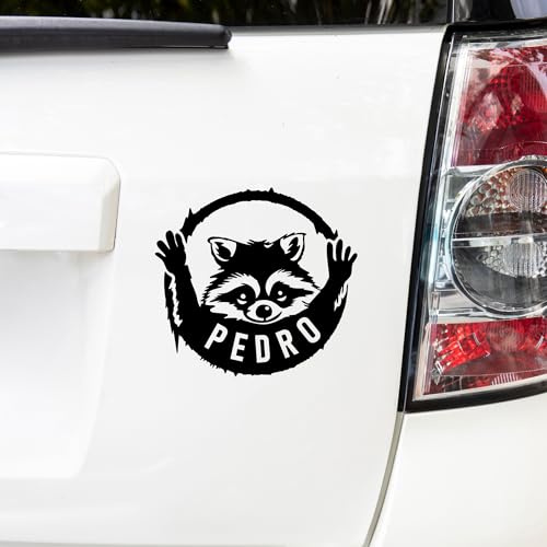 Autoaufkleber, Pedro Tiktok Star, Waschbär Aufkleber, Fenster Sticker (Schwarz)