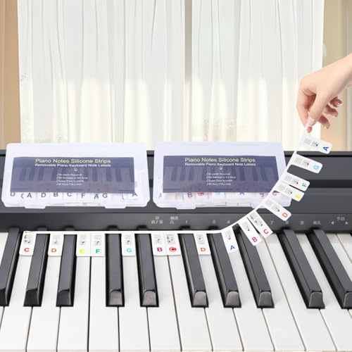 Hyzevee Piano Keyboard Stickers|Movable Piano Keyboard Note Labels|Piano Notes Overlay|Notes Guide for Beginner|88-Key Standard Full-Size Reusable and Comes with Box, Black and Rainbow Color